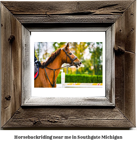 horseback riding near me in Southgate, Michigan